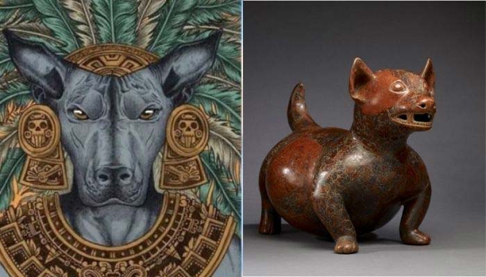 historia perro peruano